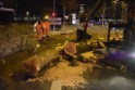 Baum auf PKWs Koeln Mitte Rheinuferstr Goldgasse P048